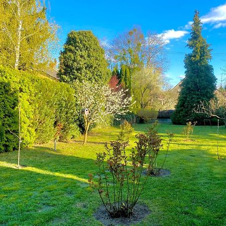 Apartament Roselio Garden Héviz Zewnętrze zdjęcie